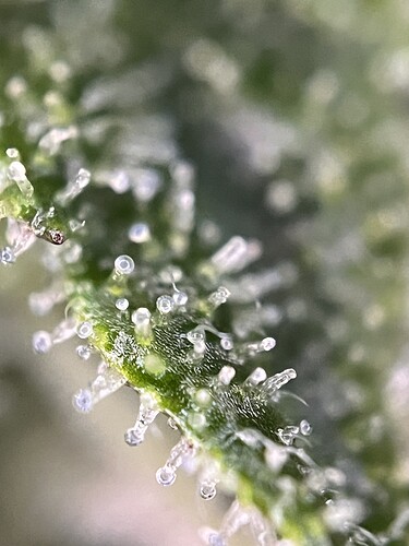 Growreport Bild 9
