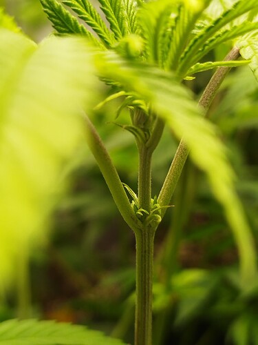 Growreport Bild 16