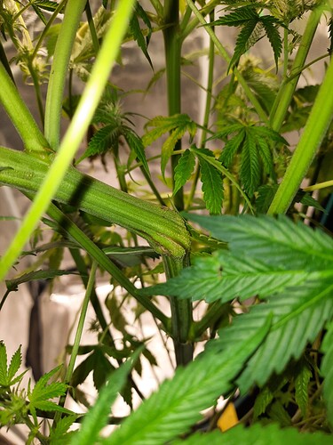 Growreport Bild 21