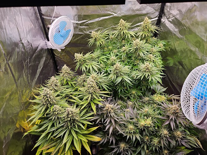 Growreport Bild 13