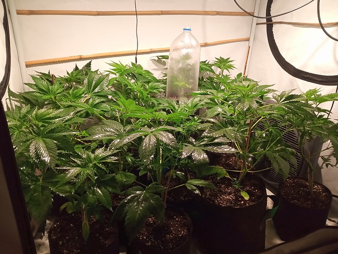 Growreport Bild 20