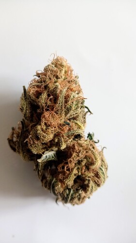 Growreport Bild 80