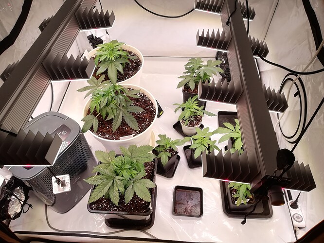 Growreport Bild 6