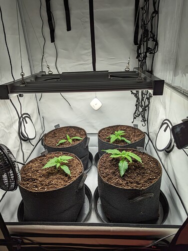 PXL_20231103_170439253