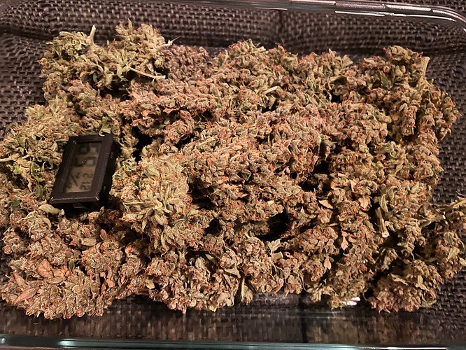 Growreport Bild 2