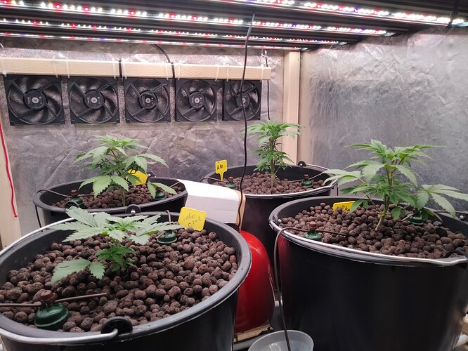 Growreport Bild 1