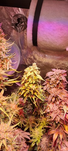 Growreport Bild 47