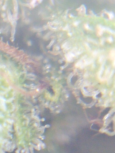 Growreport Bild 2