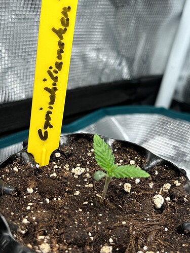 Growreport Bild 7