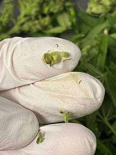 Growreport Bild 8
