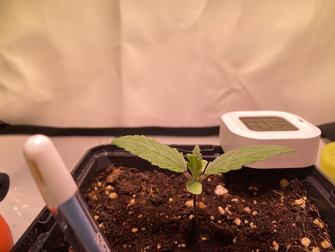 Growreport Bild 24