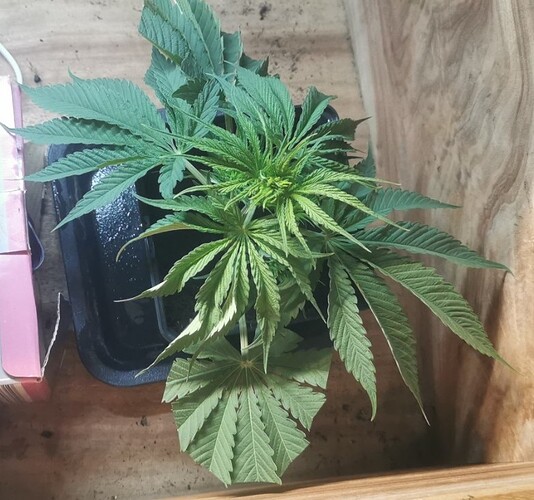 Growreport Bild 22