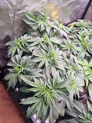 20221011_210744