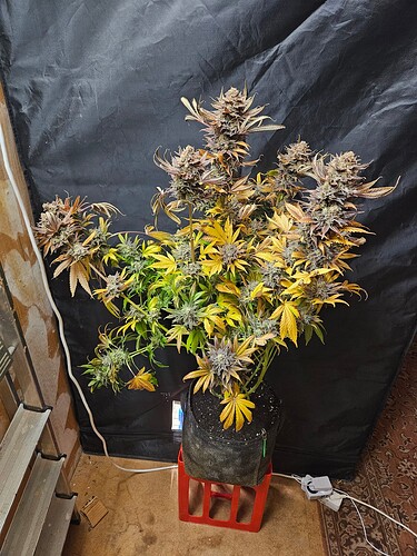 Growreport Bild 2