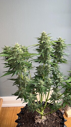 signal-2022-10-24-205614_004