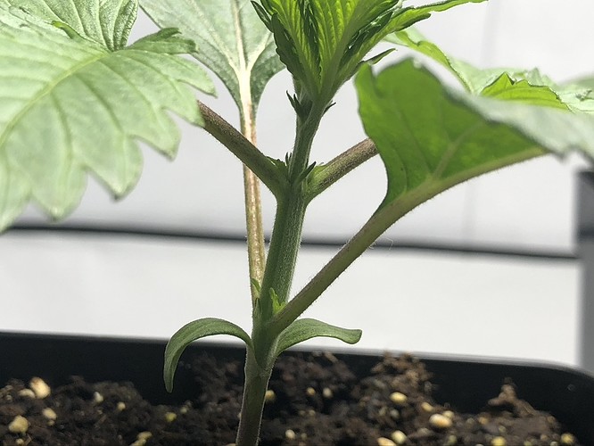 Growreport Bild 5