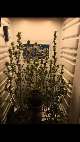 Growreport Bild 9
