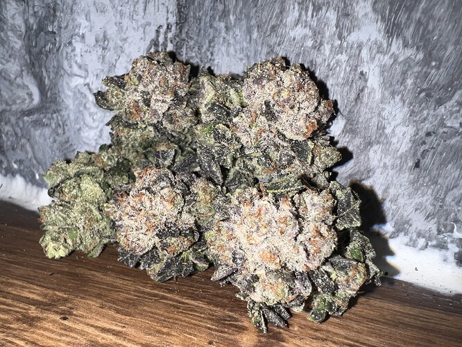 Growreport Bild 19