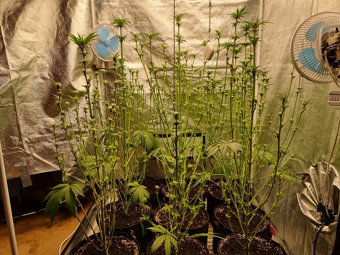Growreport Bild 12