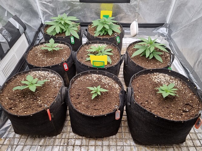 Growreport Bild 20