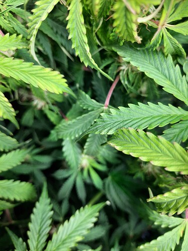 Growreport Bild 10