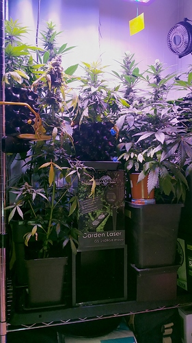 gruppe_3 Generationen_2 unten