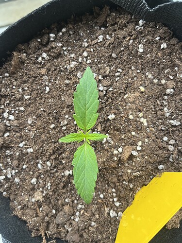 Growreport Bild 8