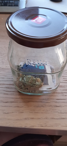 Growreport Bild 3
