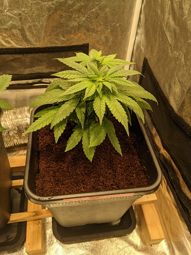 PXL_20210801_103229726 - Kopie