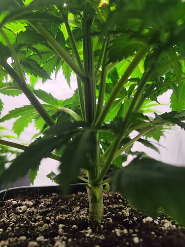 Growreport Bild 13