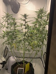 Growreport Bild 18