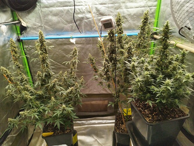 Growreport Bild 8