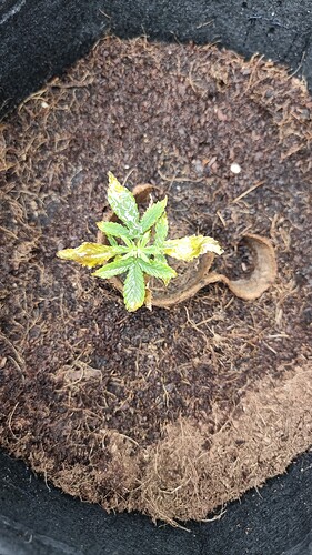 Growreport Bild 120