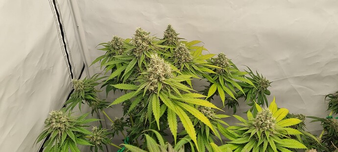 Growreport Bild 18