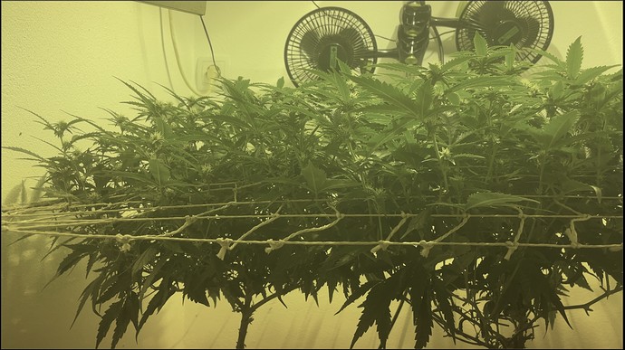 Growreport Bild 10