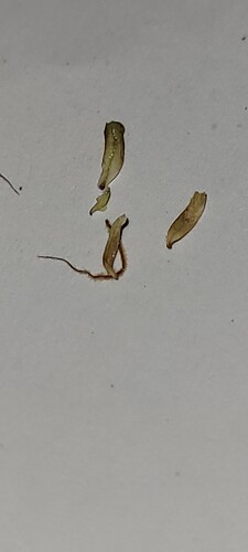 Growreport Bild 7