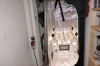 Ein Zelt mit vielen LED-Lampen, die an einem Holzbrett befestigt sind. Das Zelt ist geöffnet und man sieht die reflektierende Innenseite.