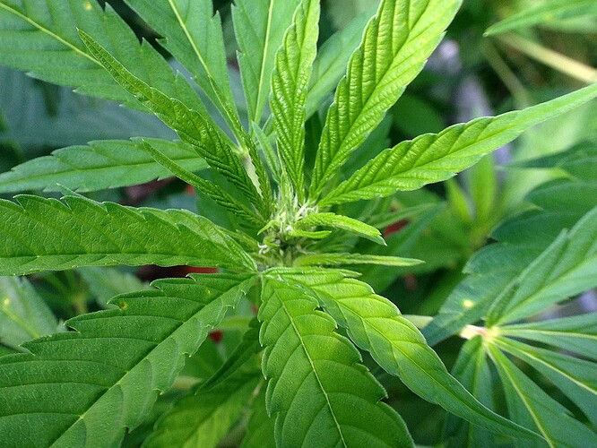 Growreport Bild 14