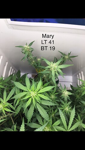 Growreport Bild 10