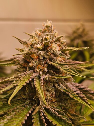 Growreport Bild 10