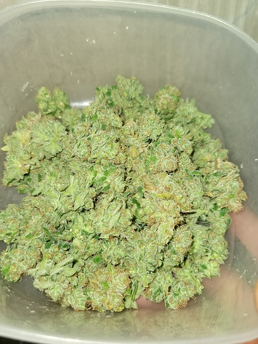 Growreport Bild 7