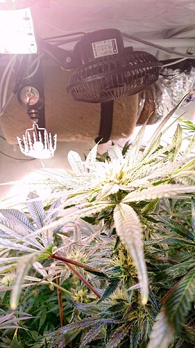 Growreport Bild 22