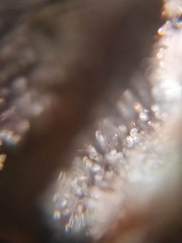 Growreport Bild 23