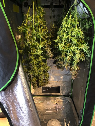 Growreport Bild 1