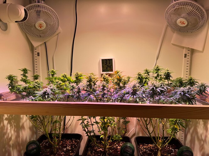 Growreport Bild 8