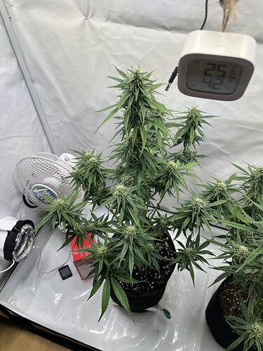 Growreport Bild 19