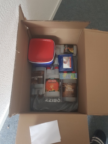 Growreport Bild 4