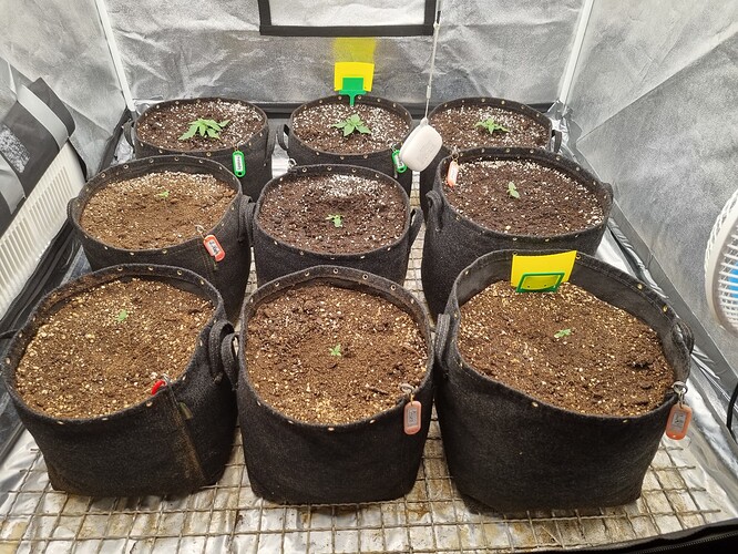 Growreport Bild 35