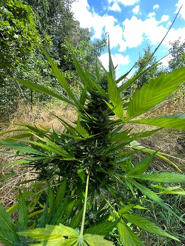 Growreport Bild 17