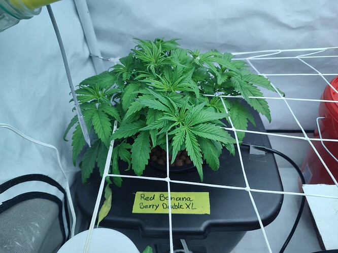 Growreport Bild 7